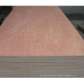 Bintangor Commercial Plywood for Packing, Furniture or Construction